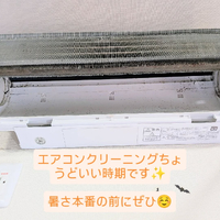 画像274