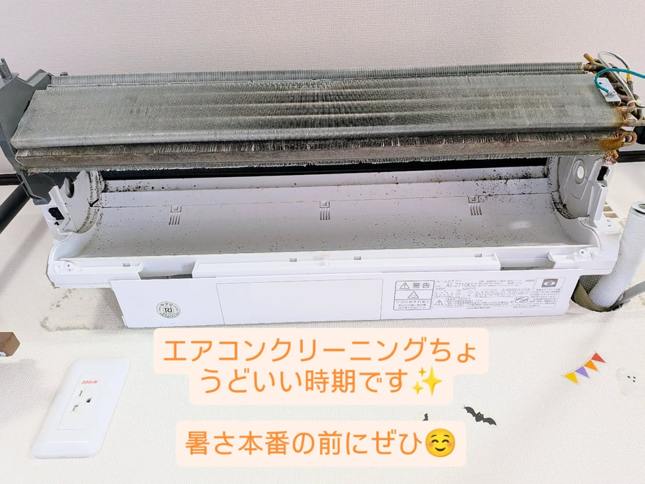 画像274