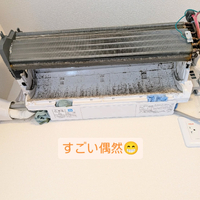 画像278