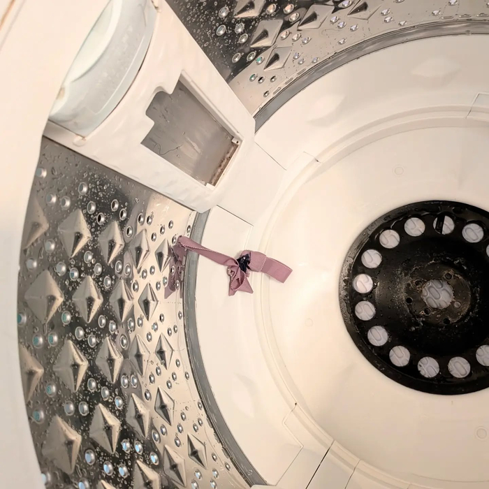 画像280
