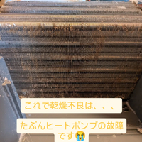 画像294