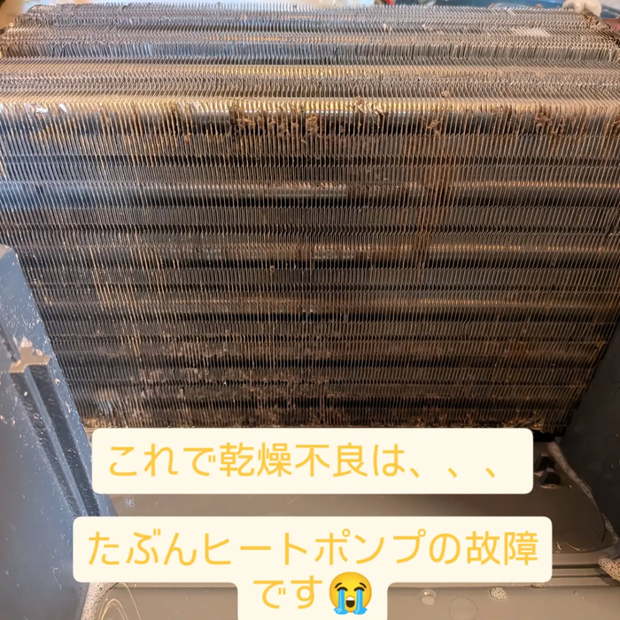 画像294