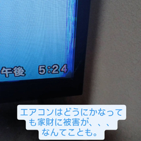 画像309