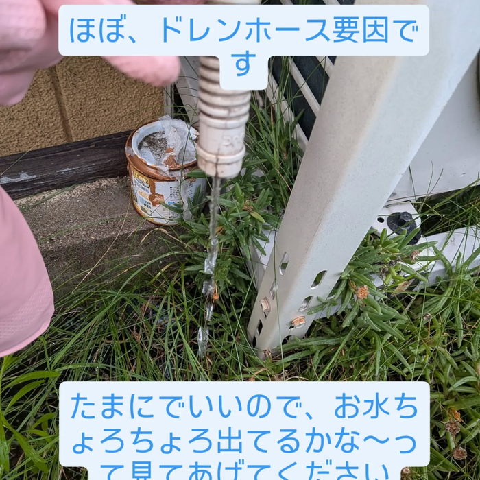 画像310