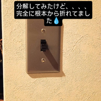 画像329