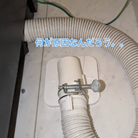 画像337