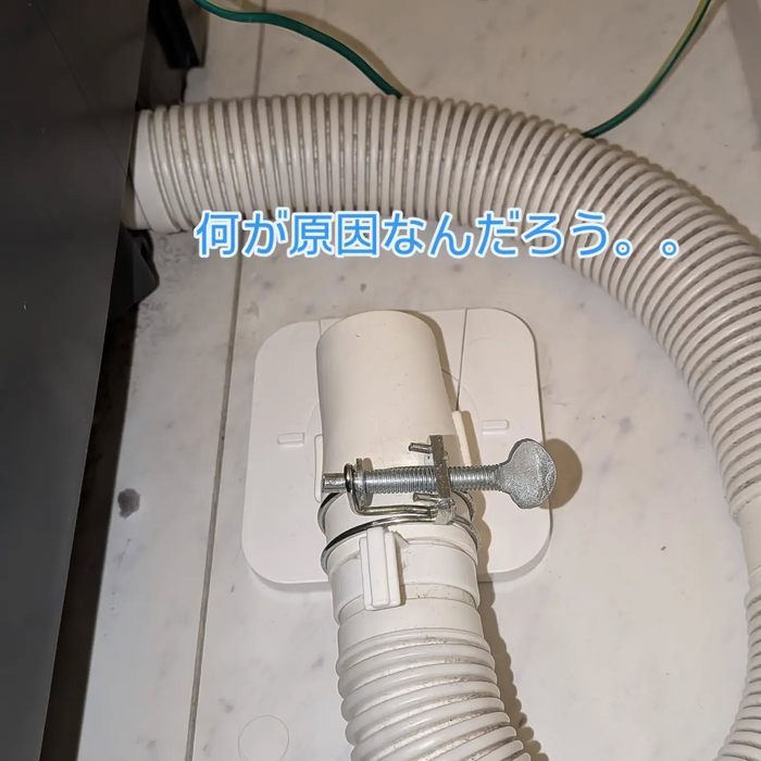 画像337